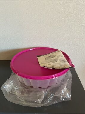Tupperware Hot Pink Gelatin  Mold